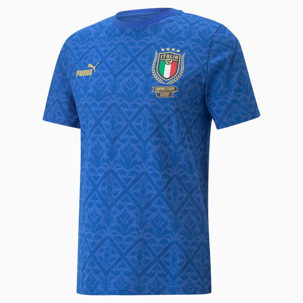 Pánské Běžecké Tričko Puma FIGC Graphic Winner Soccer Blankyt Blankyt | 435SGDPVX