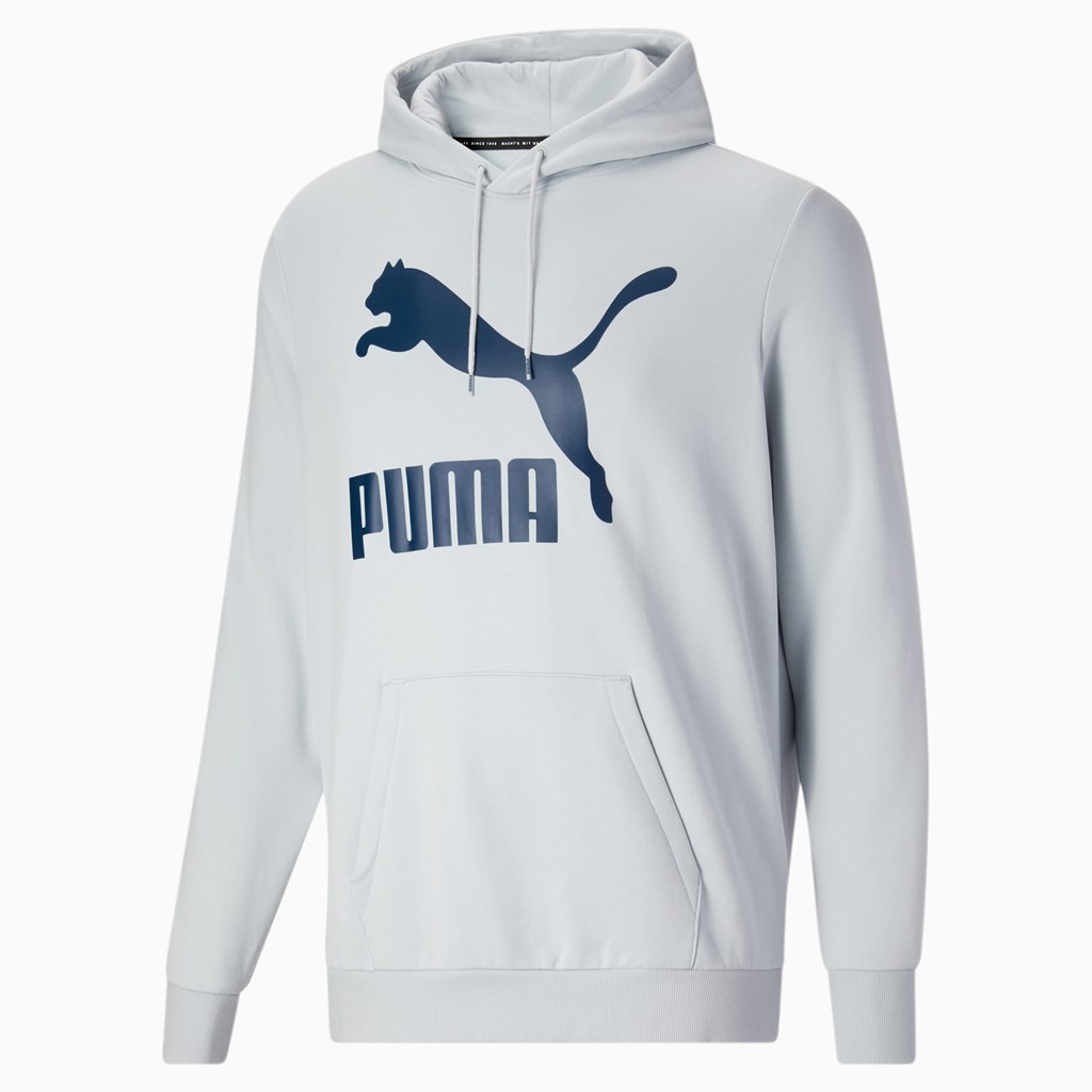 Pánské Mikiny S Kapucí Puma Classics Logo Hoodie FL BT Blankyt | 916754-DEL