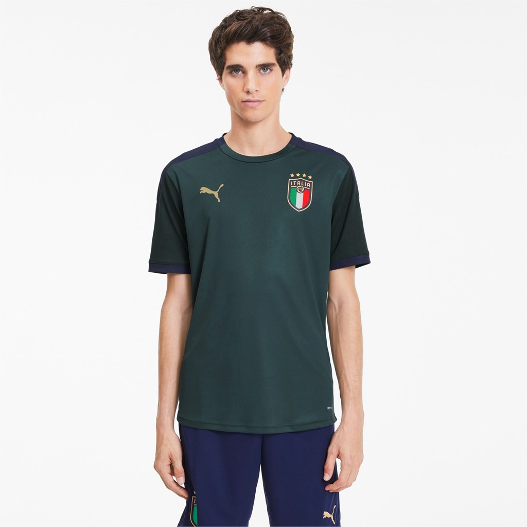 Pánské Tričko Puma FIGC Tréninková Ponderosa Pine / Peacoat | 986MBIPGY