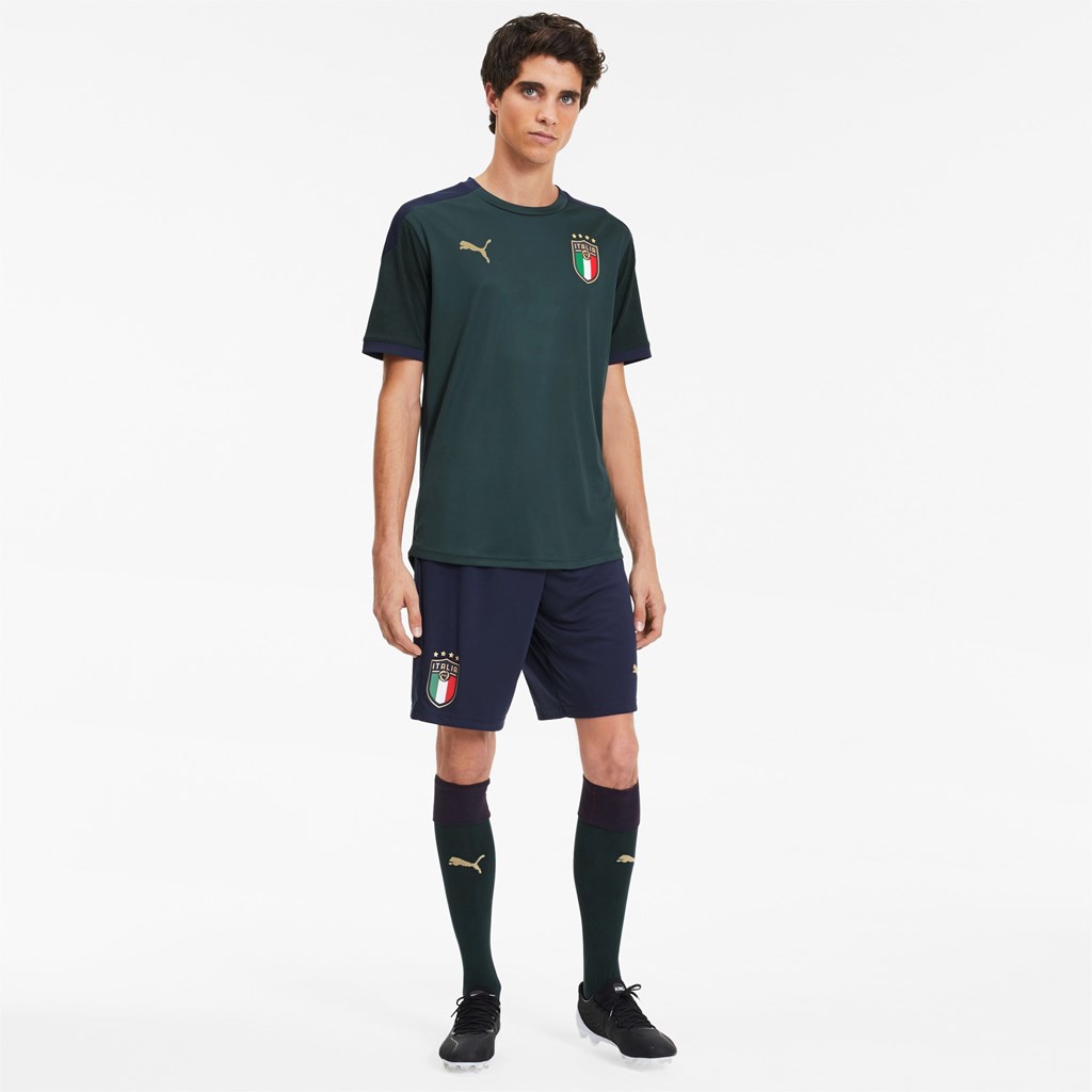 Pánské Tričko Puma FIGC Tréninková Ponderosa Pine / Peacoat | 986MBIPGY