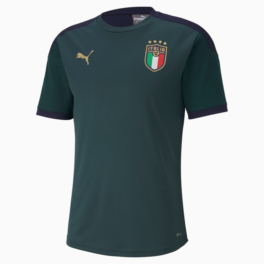 Pánské Tričko Puma FIGC Tréninková Ponderosa Pine / Peacoat | 986MBIPGY