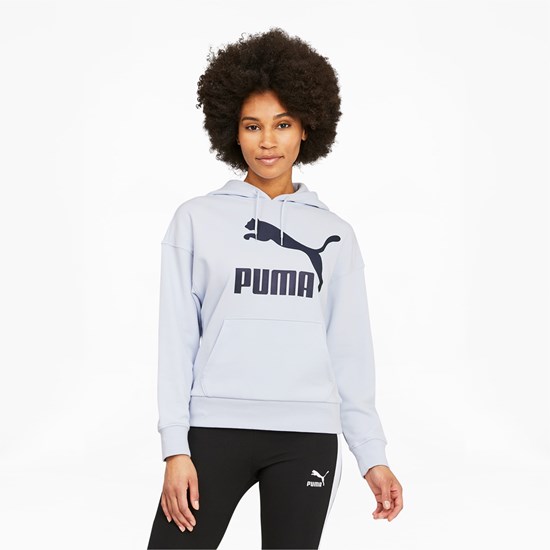 Dámské Mikiny S Kapucí Puma Classics Logo Arctic Ice | 149250-GHU