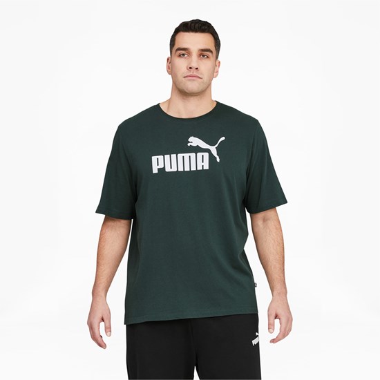 Pánské Běžecké Tričko Puma Essentials Logo BT Zelene Bílé | 127DQOVNC