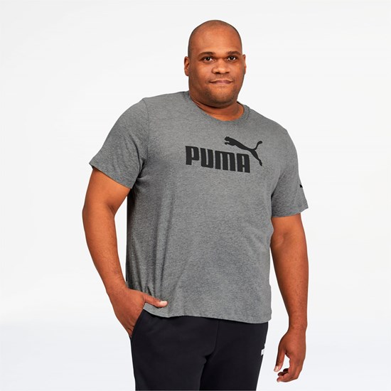 Pánské Běžecké Tričko Puma Essentials Logo BT Medium Gray Heather | 326SMHPYE