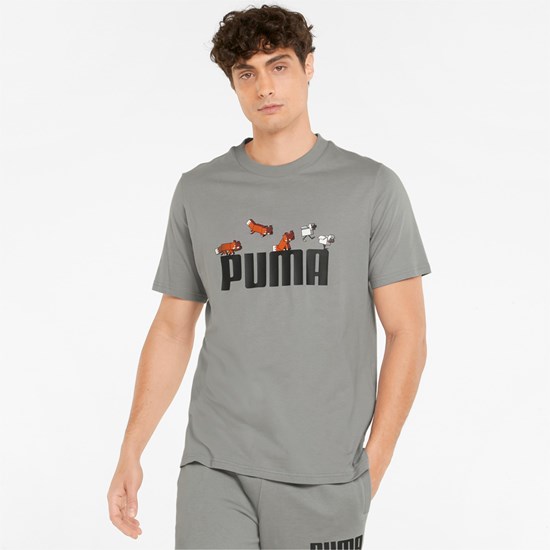 Pánské Běžecké Tričko Puma PUMA x MINECRAFT Graphic Griffin | 249KGBODF