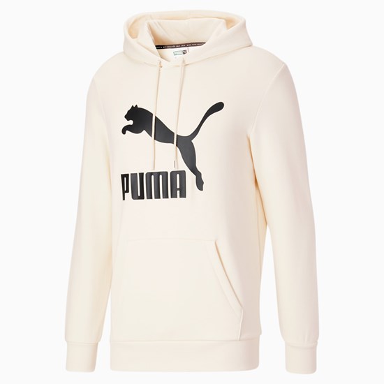 Pánské Mikiny S Kapucí Puma Classics Logo Hoodie FL No Color | 073561-QPE