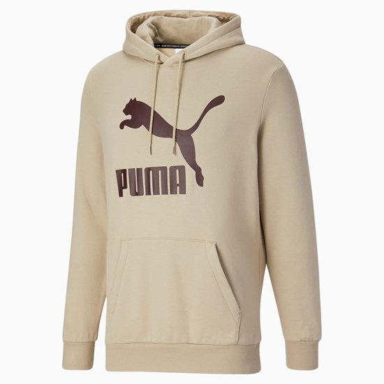 Pánské Mikiny S Kapucí Puma Classics Logo FL Zelene | 972841-KEZ